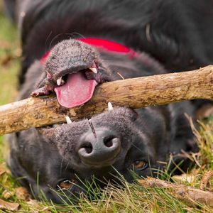 Meet your Posher, Sue